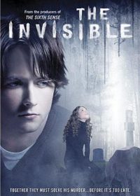 The Invisible (2007) BRRip 420p 300MB Dual Audio 1