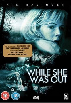 While She Was Out (2008) BRRip 420p 300MB Dual Audio