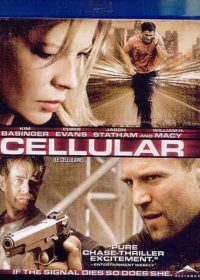 Cellular (2004) BRRip 420p 300MB Dual Audio ESubs 1