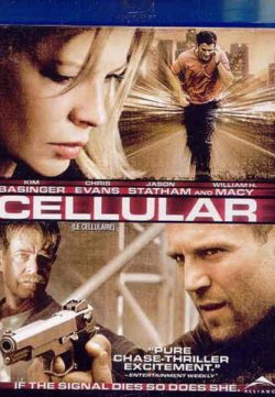 Cellular (2004) BRRip 420p 300MB Dual Audio ESubs