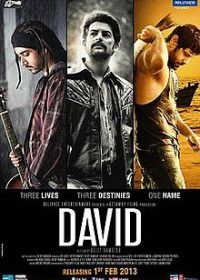 David (2013) DVDRip Music Videos HD 720P 1