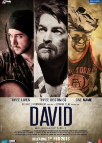 David (2013) Hindi Movie 400MB DVDRip 420P ESubs 1