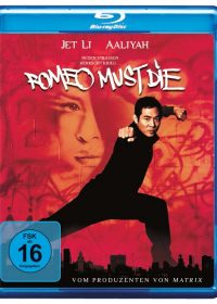 Romeo Must Die (2000) BRRip 420p 325MB Dual Audio 1