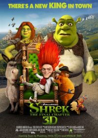 Shrek Forever After (2010) BRRip 420p 300MB Dual Audio 1