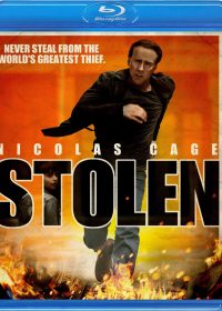 Stolen (2012) BRRip 420p 300MB Dual Audio 1