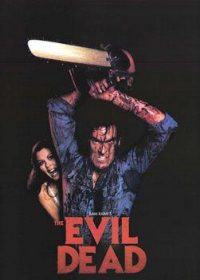 The Evil Dead (1981) BRRip 480p 300MB Dual Audio 1