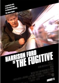 The Fugitive (1993) BRRip 480p 350MB Dual Audio 1