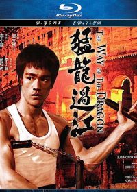 The Way of the Dragon (1972) 420p 300MB Dual Audio 1