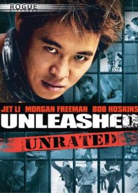 Unleashed (2005) BRRip 420p 375MB Dual Audio 1