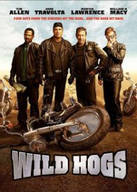 Wild Hogs (2007) BRRip 420p 300MB Dual Audio 1