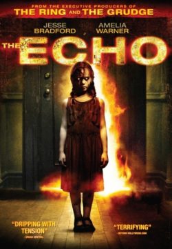 The Echo (2008) Hindi Dubbed Mediafire Download Links