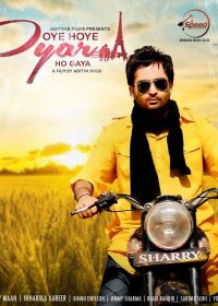 Oye Hoye Pyaar Ho Gaya (2013) Punjabi Movie DVDRip 5