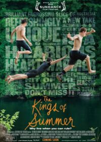 The Kings of Summer (2013) English  watch online 4