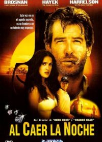 After the Sunset (2004) In Hindi | Watch Hindi Movies Online Free 1