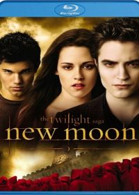 The Twilight Saga New Moon (2009) 1080p BluRay Dual Audio Movie Free Download 5