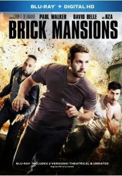 Brick Mansions 2014 Watch Movie Online For Free In 700MB Free Download