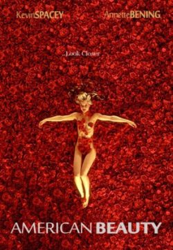 American Beauty (1999) Dual Audio Movie Free Download 480p 200MB