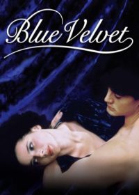 Blue Velvet (1986) Dual Audio Movie Free Download In HD 480p 250MB 5