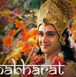 Mahabharat (2013) All Episodes Of Complete Series WebHD Free Download