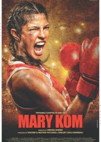 Mary Kom (2014) Hindi Movie Free Download 480p 200MB 5