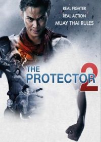 The Protector 2 (2013) Dual Audio Free Download In HD 480p 300MB 1