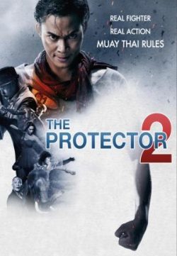 The Protector 2 (2013) Dual Audio Free Download In HD 480p 300MB