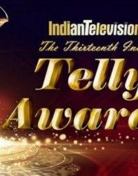 13th Indian Telly Awards (2014) Free Download In HD 480p 250MB 1