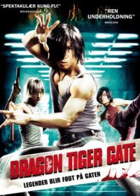 Dragon Tiger Gate (2006) Triple Audio Free Download In HD 480p 200MB