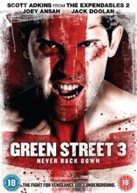 Green Street 3: Never Back Down (2013) Hindi Dubbed Download 480p