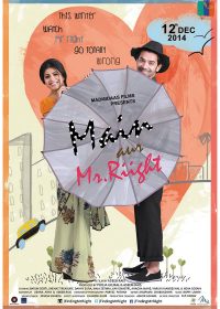 Main Aur Mr. Riight (2014) Hindi Movie Download 480p 200MB