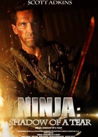 Ninja Shadow of a Tear (2013) Download Hindi Dubbed 480p 250MB