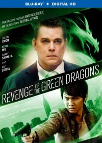 Revenge of the Green Dragons (2014) Download In 300MB 480p English