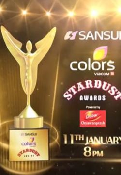 Stardust Awards 11th January (2015)  Download 720p 200MB