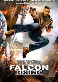 Falcon Rising (2004) hindi Dubbed Download HD 150Mb 480p