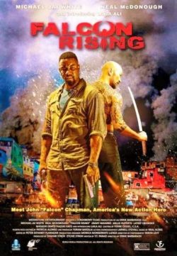 Falcon Rising (2014) hindi dubbed download HD 200MB 480p