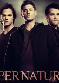 Supernatural (2012) All Episodes Of Season 8 480P