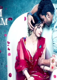 Sanam Teri Kasam (2016) Hindi Movie Watch online DVDScr 591MB