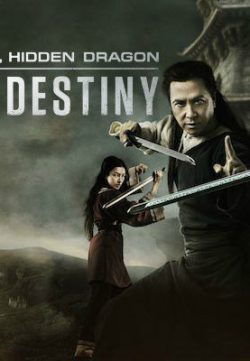 Crouching Tiger Hidden Dragon Sword of Destiny (2016) 480p DVDRip