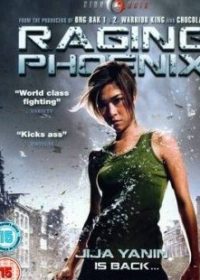 Raging Phoenix (2009) Dual Audio DVDRIp Download 400MB