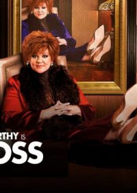 The Boss 2016 English Movie Download HDRip 200MB