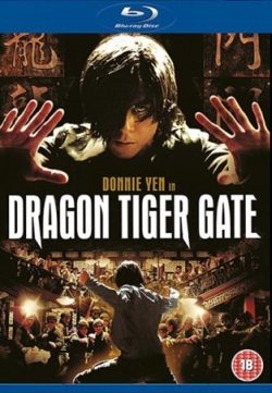 Dragon Tiger Gate 2006 Hindi Dubbed BRRip 480p