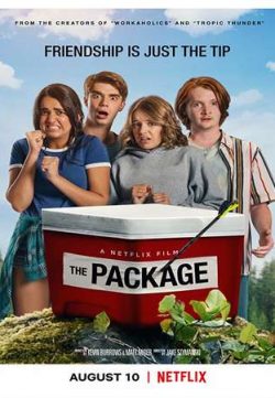 The Package 2018 English 200MB WEBRip 480p MSubs